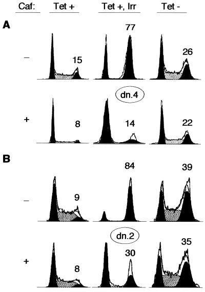 FIG. 6