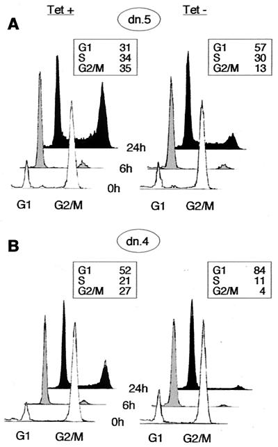 FIG. 3