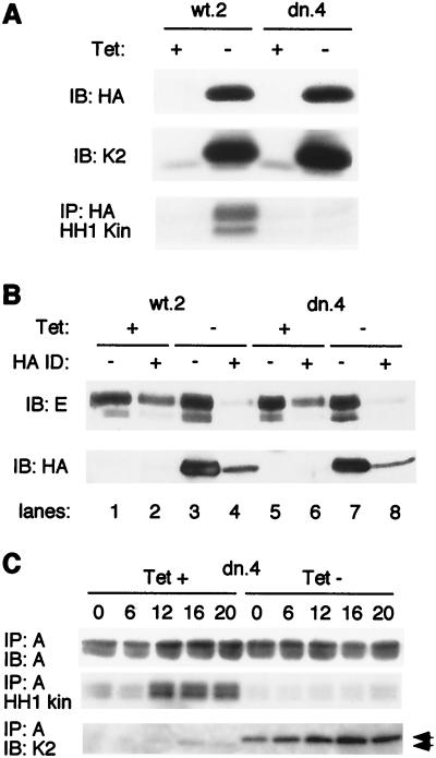 FIG. 7