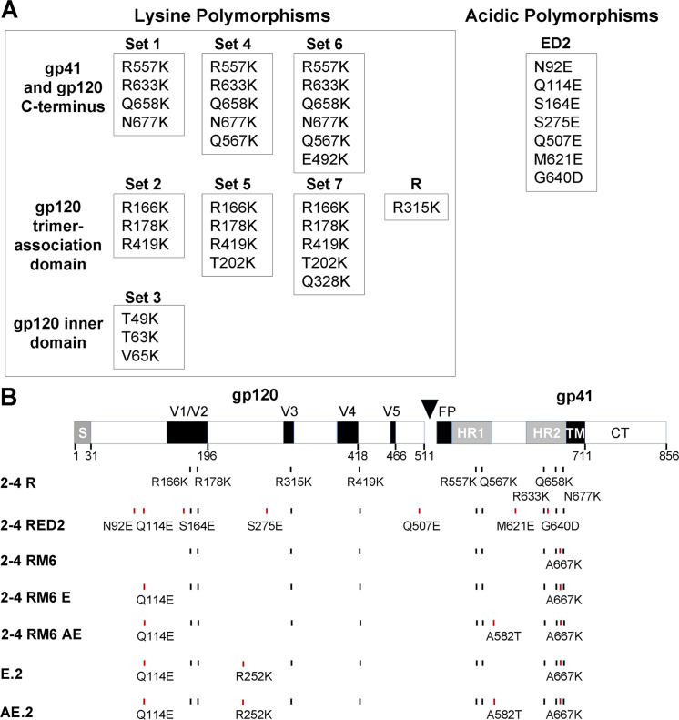 FIG 1