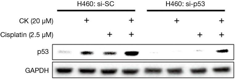 Figure S1