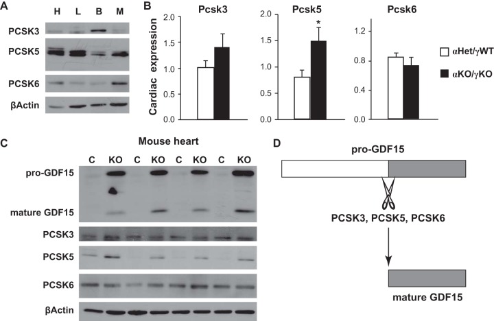 FIG 6