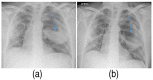 Figure 5.