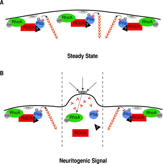 Figure 9.