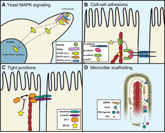 FIGURE 1: