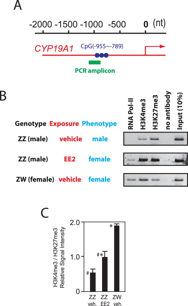 FIG. 7. 