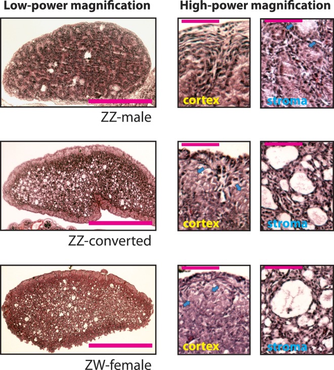 FIG. 2. 