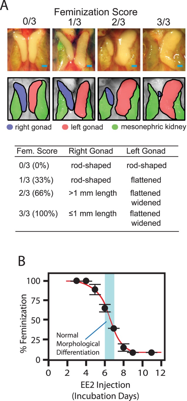 FIG. 1. 