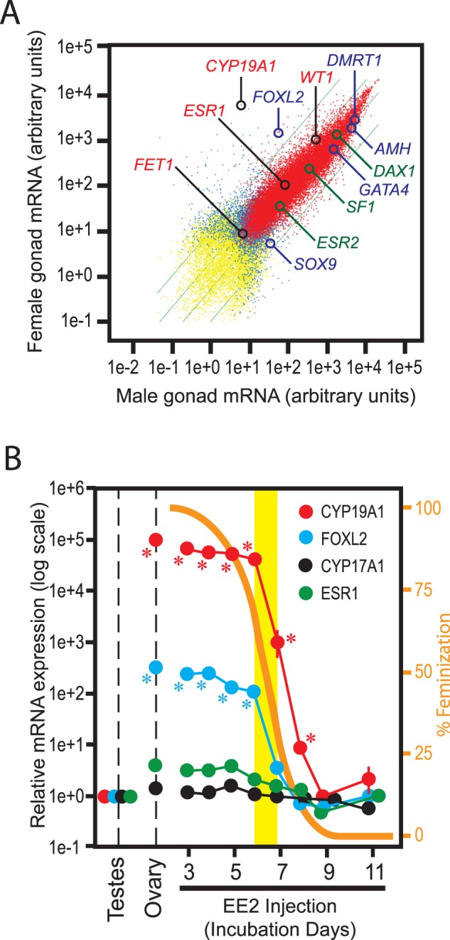 FIG. 3. 