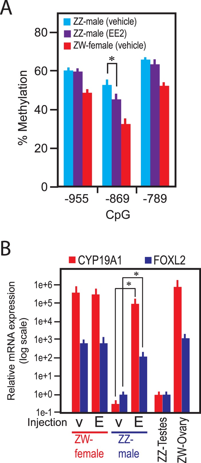 FIG. 6. 