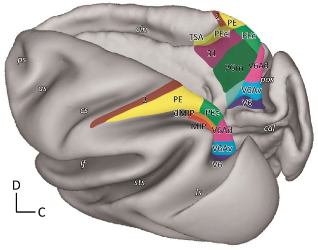 Fig. 1