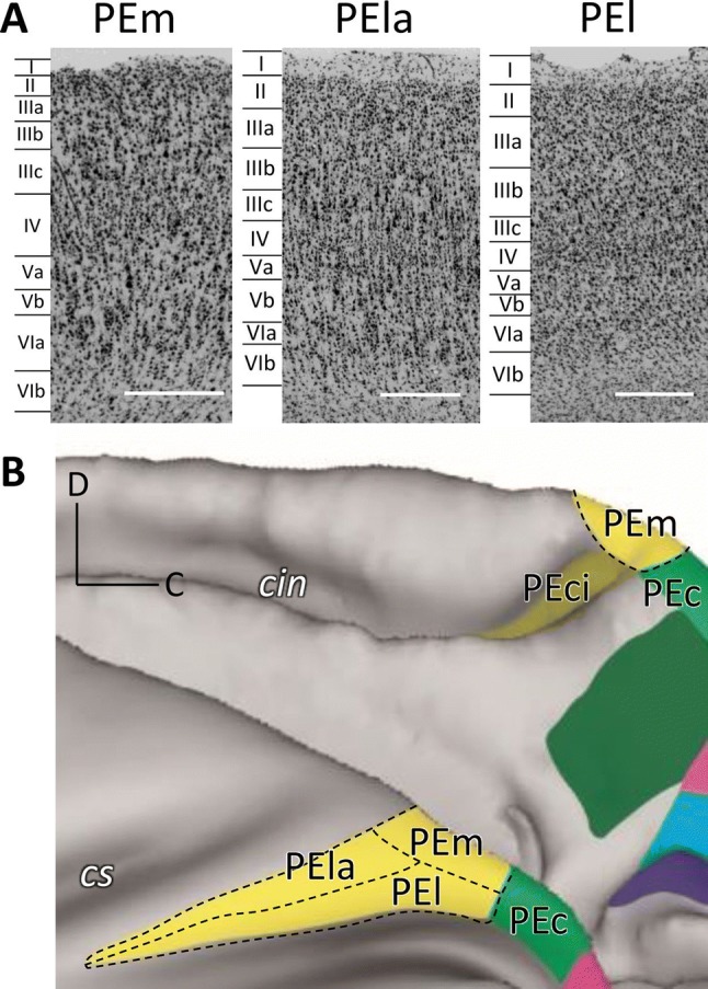 Fig. 4