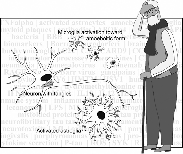 Fig. 1.