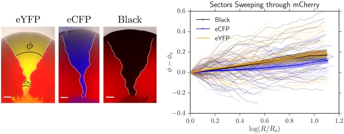 Fig 13