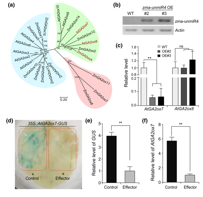 FIGURE 3