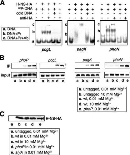 FIGURE 3.