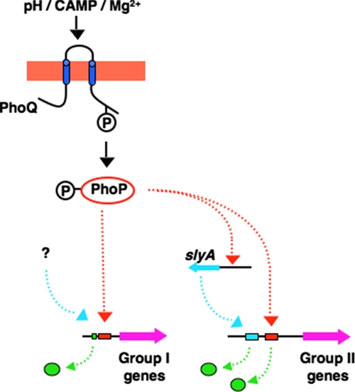 FIGURE 6.