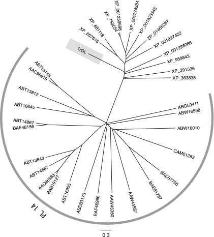 FIG. 2.