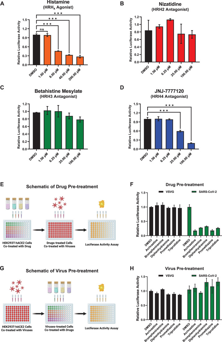 Bar graphs depict the effect of histamine, nizatidine, betahistine mesylate, and JNJ-7777120 on SARS-CoV-2 entry, measured by luciferase activity. Schematics depict drug and virus pre-treatment experiments.