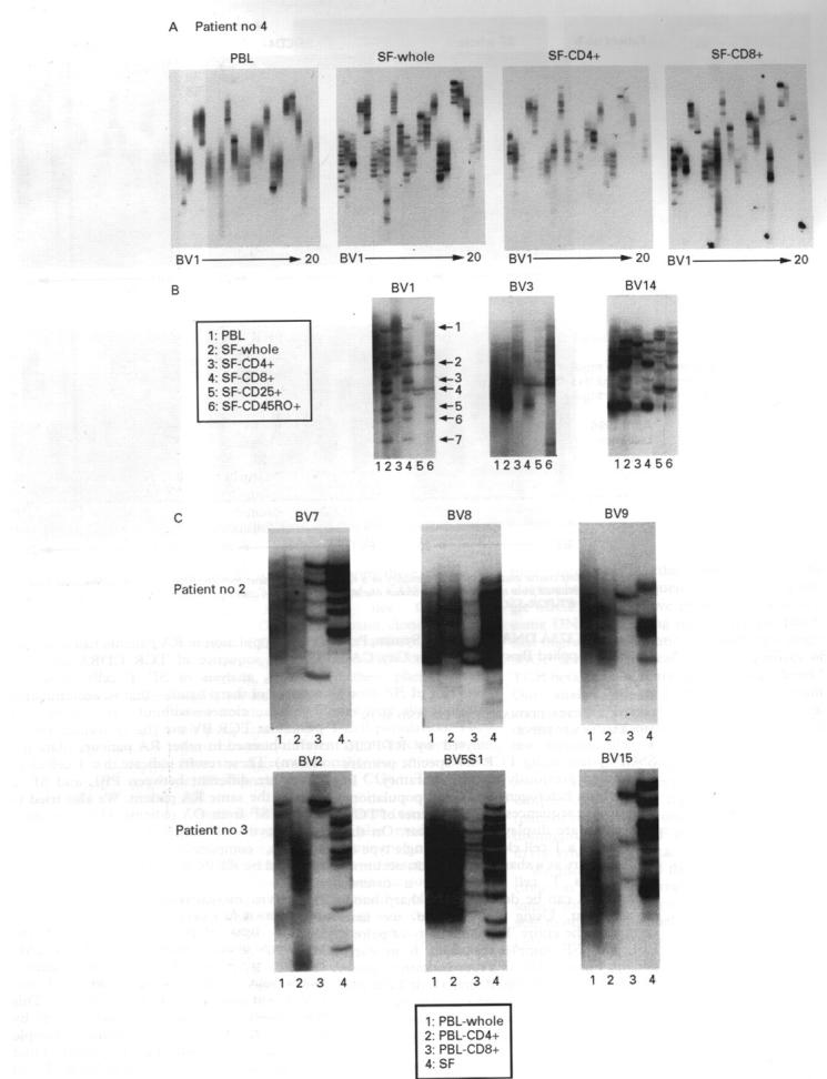 Figure 2  