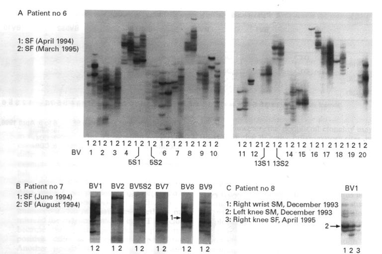 Figure 4  