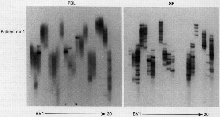 Figure 1  