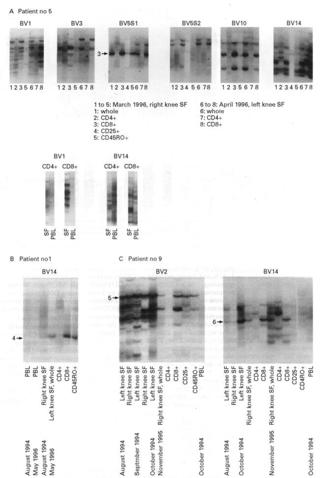 Figure 5  