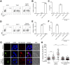 FIG 6