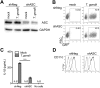 FIG 2