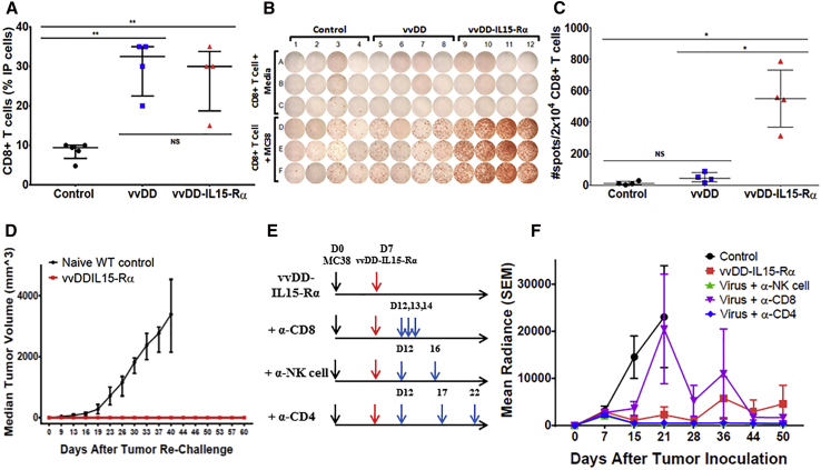 Figure 5