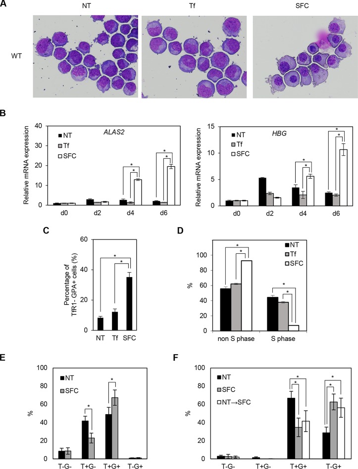 FIG 3