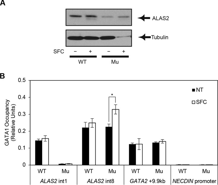 FIG 6