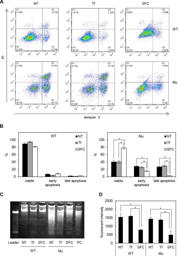 FIG 11