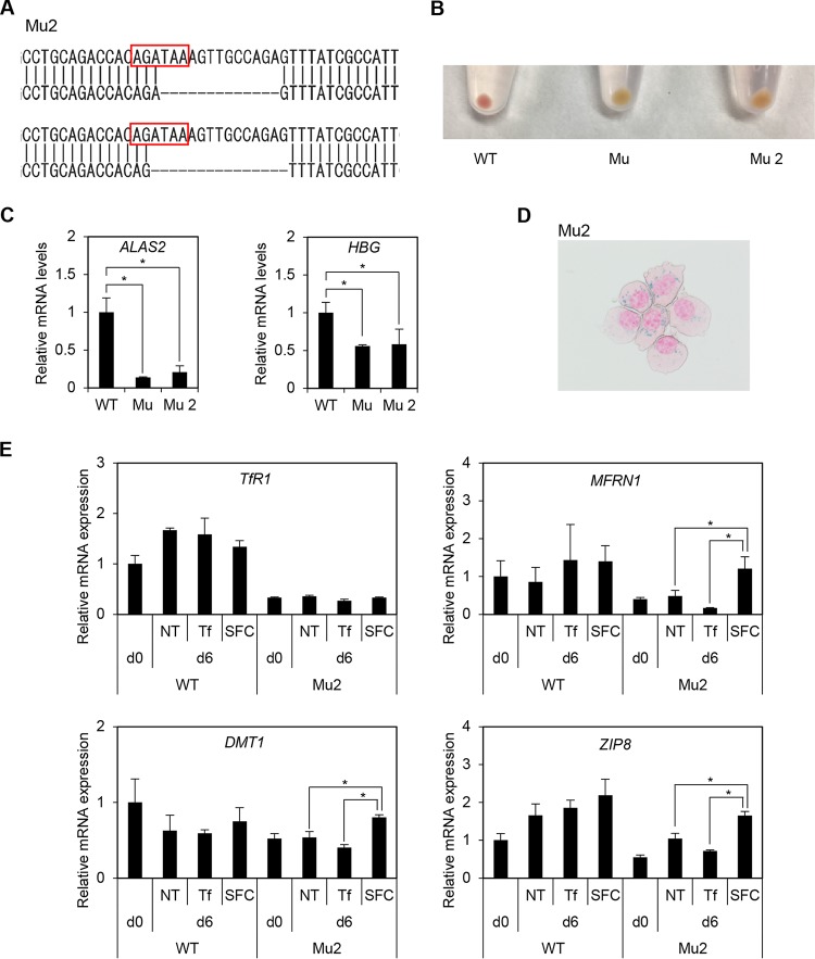 FIG 8