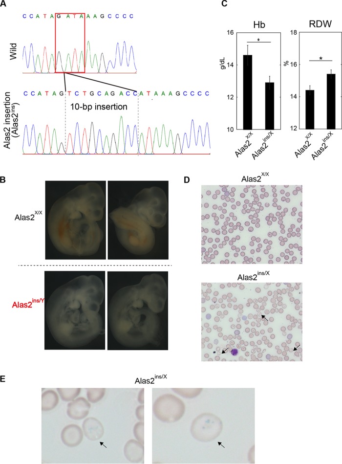 FIG 2