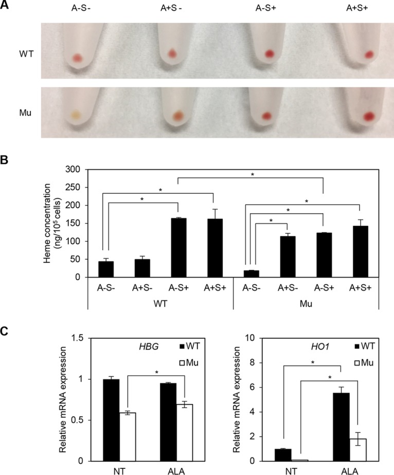 FIG 12