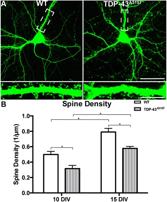 Fig. 3.