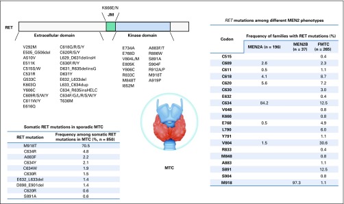 FIG 3.