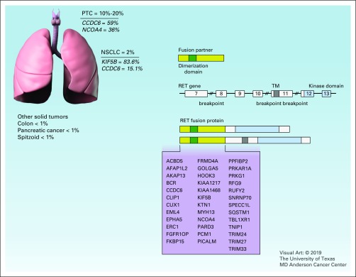 FIG 2.