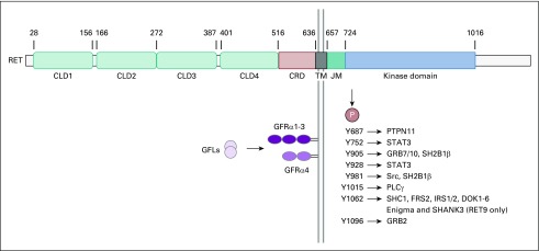 FIG 1.