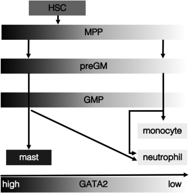 Figure 7