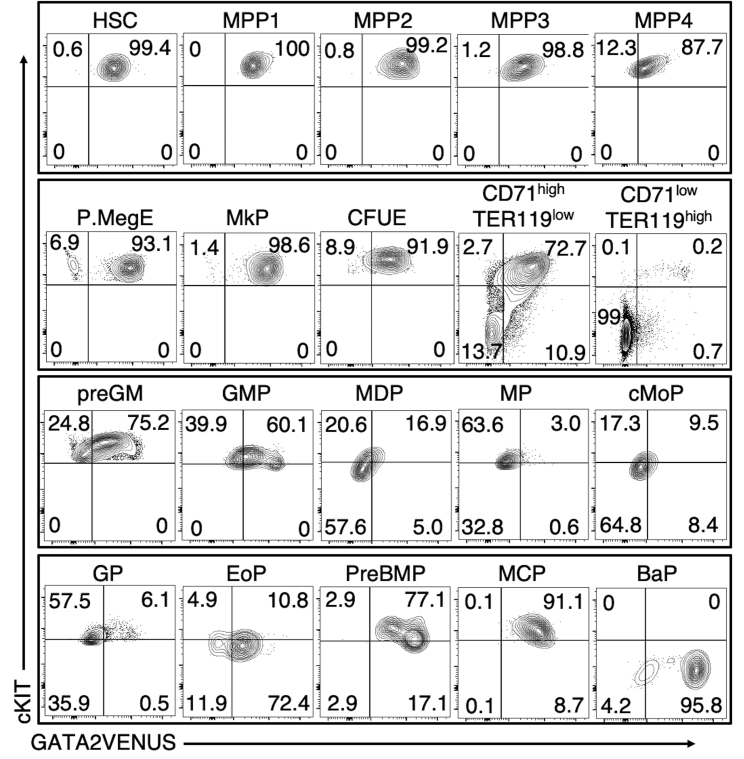 Figure 3