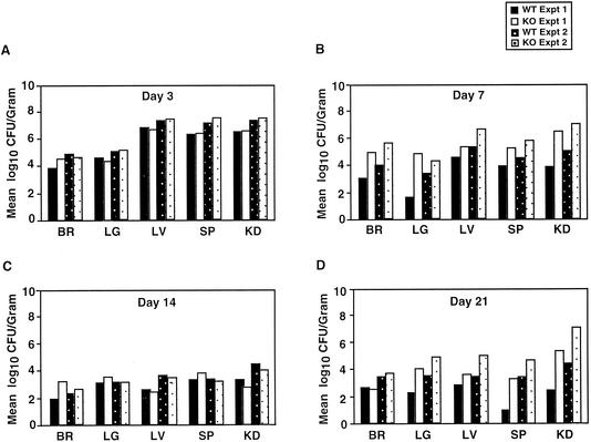 FIG. 2.