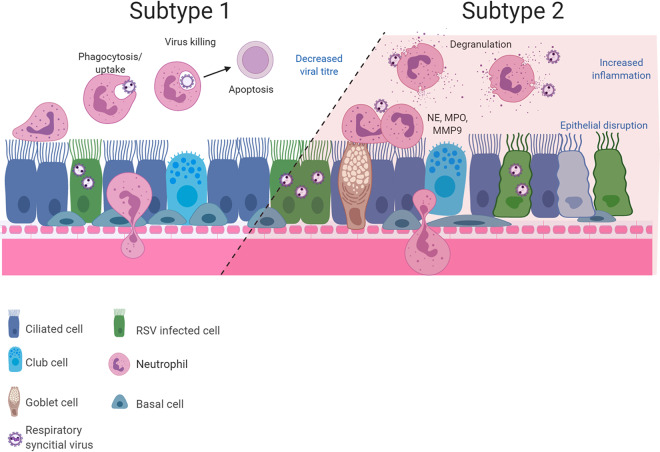 FIG 6