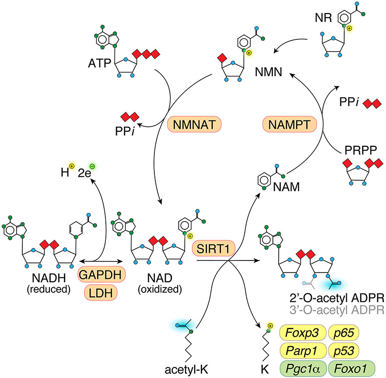 Figure 1: