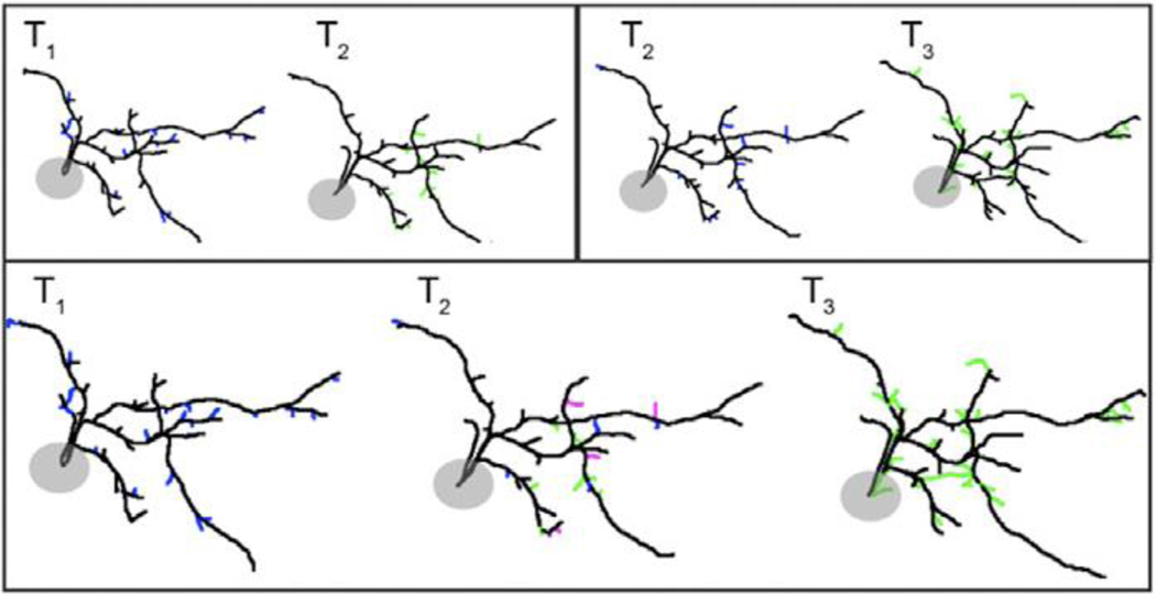 Figure 1.