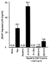 FIG. 6