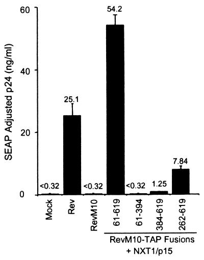 FIG. 6