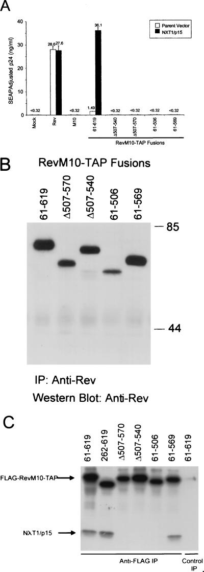 FIG. 7