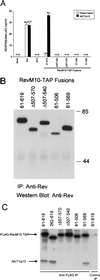 FIG. 7